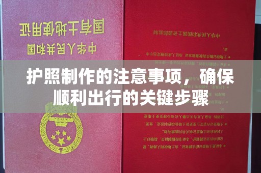 青神护照制作的注意事项，确保顺利出行的关键步骤