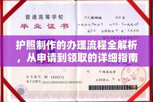 青神护照制作的办理流程全解析，从申请到领取的详细指南