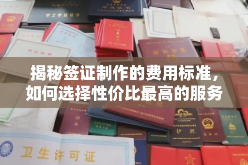 青神揭秘签证制作的费用标准，如何选择性价比最高的服务？