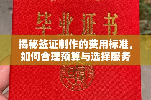 青神揭秘签证制作的费用标准，如何合理预算与选择服务