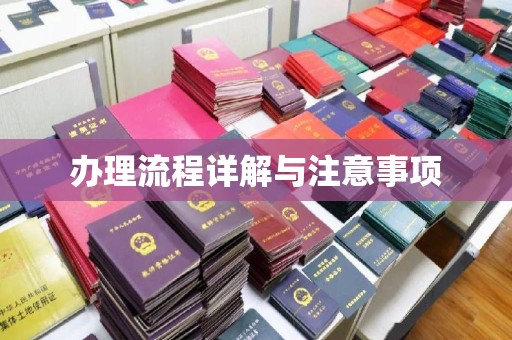 青神办理流程详解与注意事项